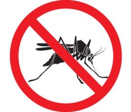 Противомоскитные сетки защищают от комаров